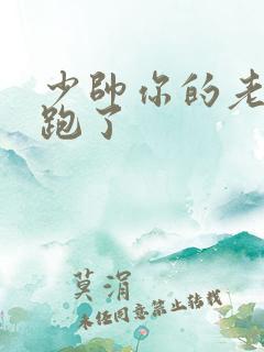 少帅你的老婆又跑了