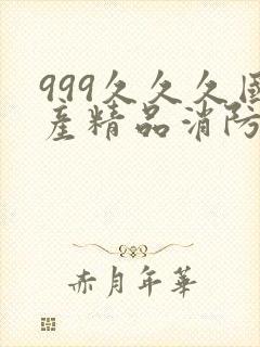 999久久久国产精品消防器材