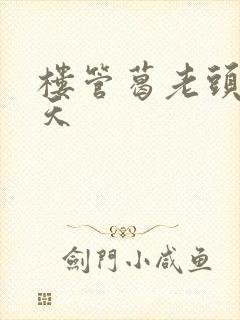 楼管葛老头的春天