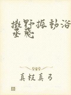 撒野振动浴缸车丞飞