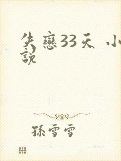 失恋33天 小说