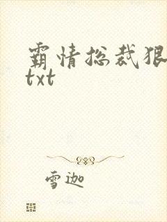 霸情总裁狠狠爱txt