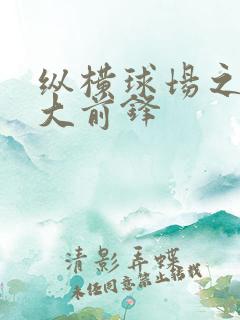 纵横球场之暴力大前锋