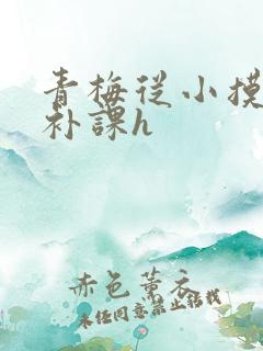 青梅从小摸到大补课h