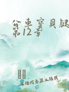 公车宝贝腿开点第12章