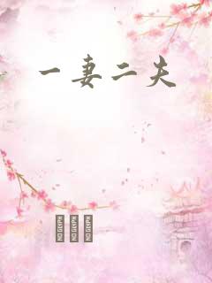 一妻二夫