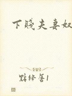 下贱夫妻奴