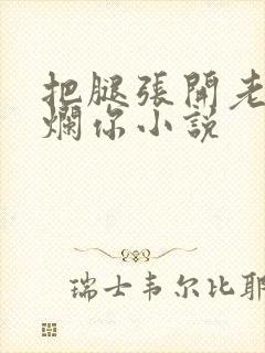 把腿张开老子臊烂你小说