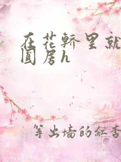 在花轿里就开始圆房h