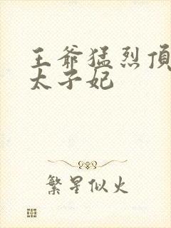 王爷猛烈顶弄H太子妃