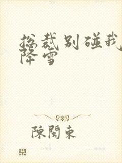 总裁别碰我 韩降雪