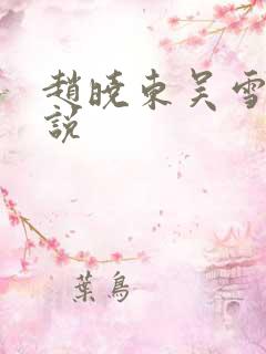 赵晓东吴雪晴小说