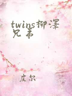twins柳泽兄弟