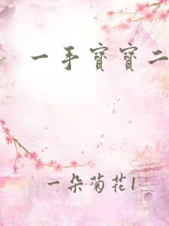 一手宝宝二手妻
