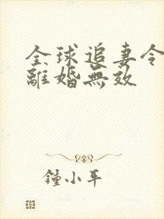 全球追妻令老婆离婚无效