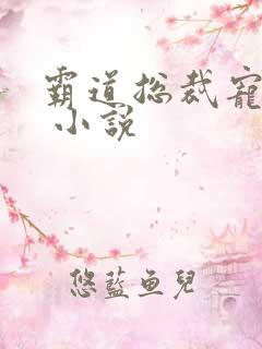 霸道总裁宠上天 小说