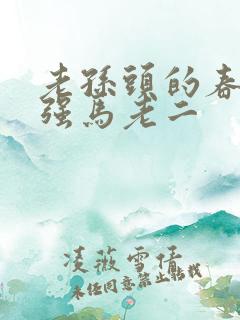 老孙头的春天马强马老二