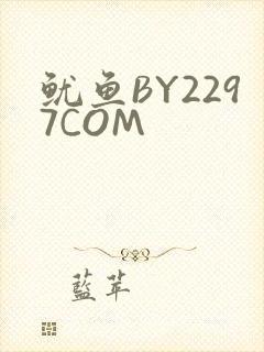鱿鱼BY2297COM