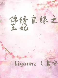 锦绣良缘之北地王妃