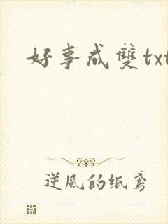 好事成双txt
