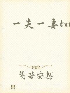 一夫一妻txt