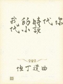 我的时代你的时代小说