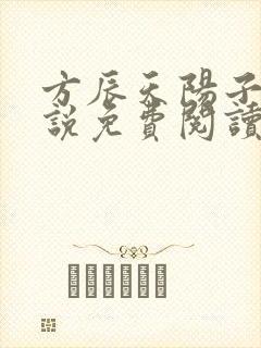 方辰天阳子的小说免费阅读