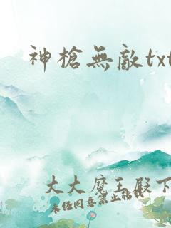 神枪无敌txt