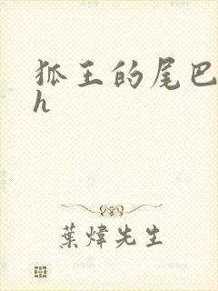 狐王的尾巴高ah