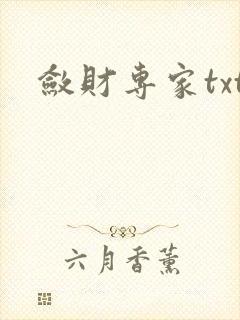 敛财专家txt