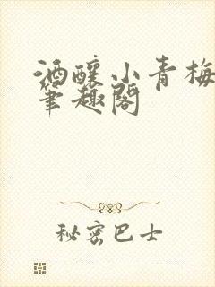 酒酿小青梅po笔趣阁