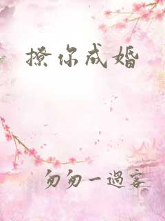 撩你成婚