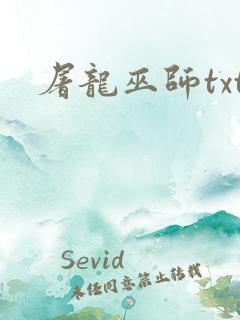 屠龙巫师txt