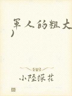军人的粗大(h)