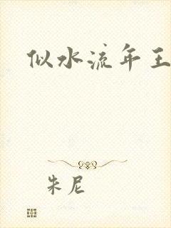 似水流年王小波