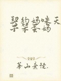 契约妈咪天才儿子笨蛋妈