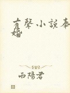 有声小说奉子成婚