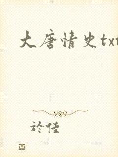 大唐情史txt