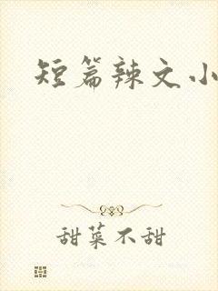 短篇辣文小说