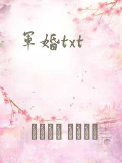军婚txt