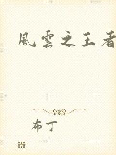 风云之王者人生