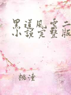 黑道风云二十年小说完整版