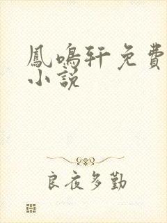 凤鸣轩免费言情小说