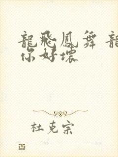 龙飞凤舞 龙王你好坏