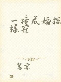 一撞成婚总裁花样宠