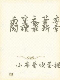 南宝衣萧弈免费阅读最新章节