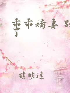 乖乖娇妻 别闹了