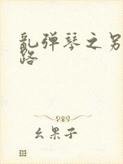 乱弹琴之另一条路