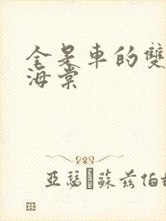 全是车的双男主海棠