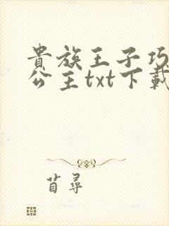 贵族王子巧遇穷公主txt下载